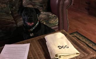 Darin D.'s photo of camping with pets at Trinity River Adventure Inn near Whiskeytown National Recreation Area
