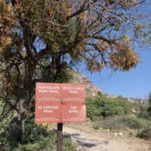 Review photo of Pine Springs Campground — Guadalupe Mountains National Park by Susan L., September 18, 2021