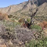 Review photo of Pine Springs Campground — Guadalupe Mountains National Park by Susan L., September 18, 2021