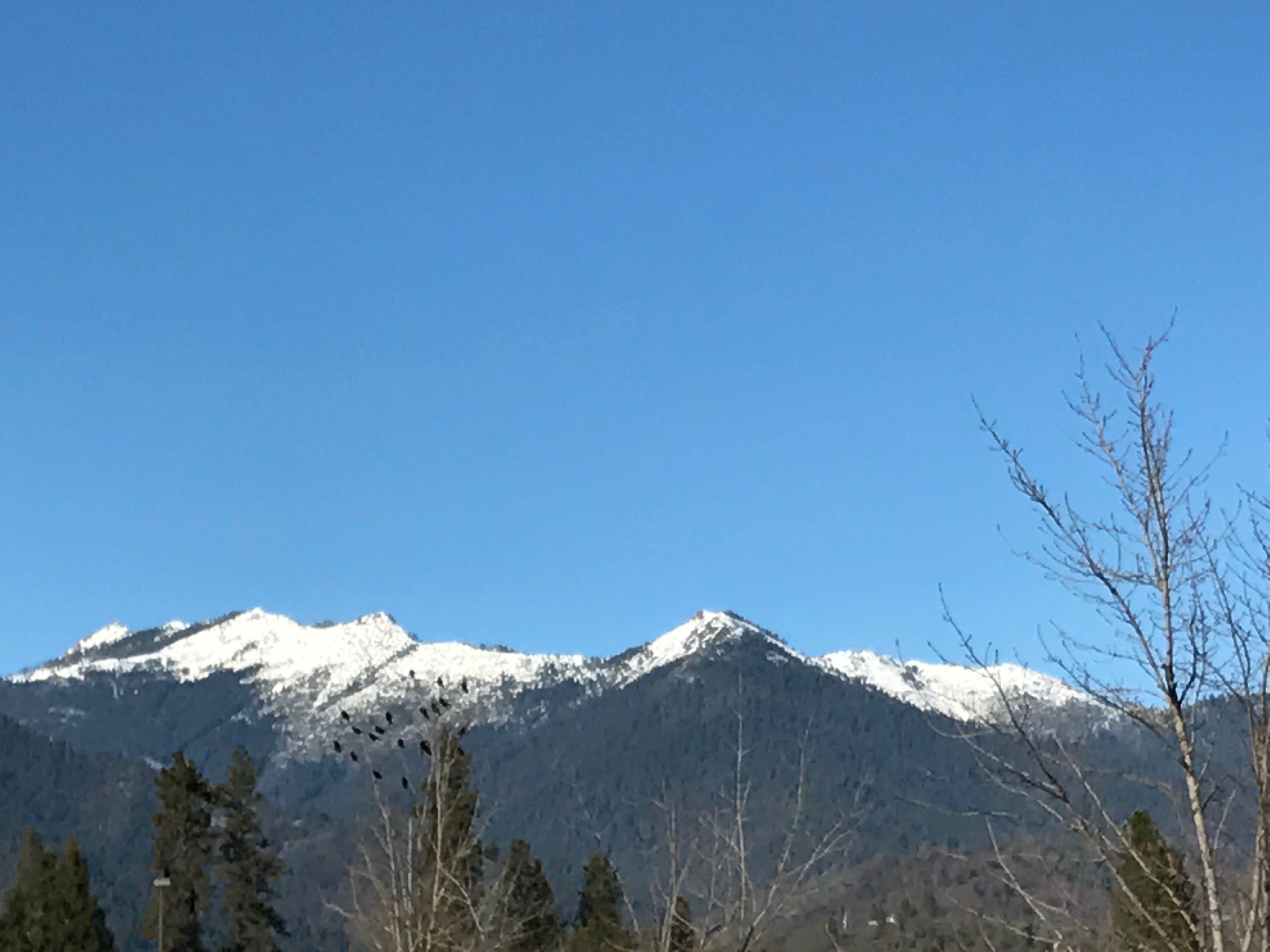 Trinity Alps are just a few miles away