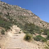 Review photo of Pine Springs Campground — Guadalupe Mountains National Park by Susan L., September 18, 2021