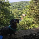 Review photo of Alley Spring Campground — Ozark National Scenic Riverway by Shelly S., July 21, 2016