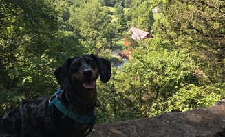 Shelly S.'s photo of camping with pets at Alley Spring Campground — Ozark National Scenic Riverway near Thayer, MO