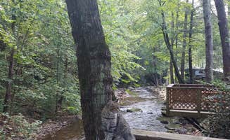 Kara L.'s photo of camping with pets at Mountain Stream RV Park near Old Fort, NC