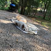 Review photo of Tugaloo State Park Campground by Roger C., September 18, 2021