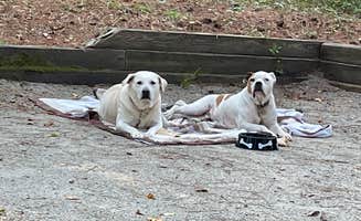 Roger C.'s photo of camping with pets at Coneross Park Campground near Hartwell Lake