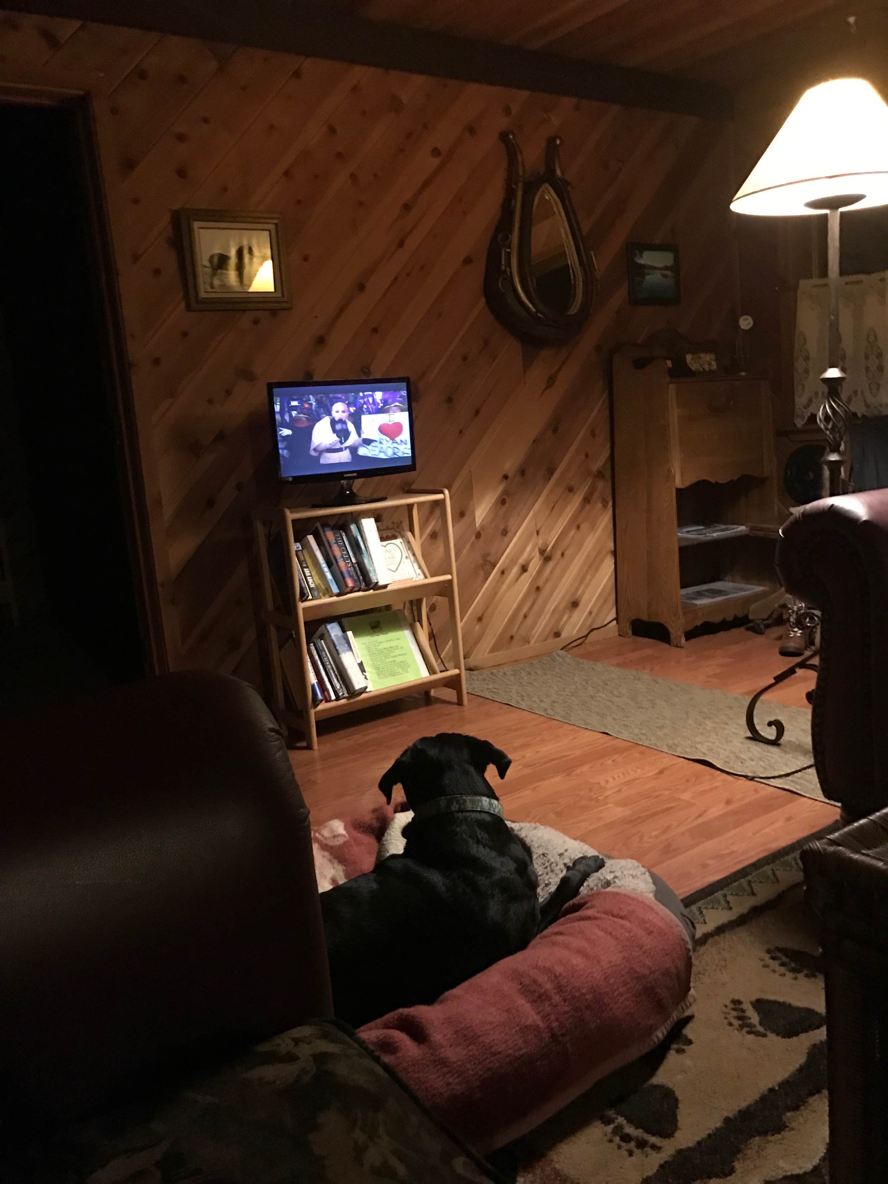 Camper-submitted photo at Trinity River Adventure Inn near Hayfork, CA