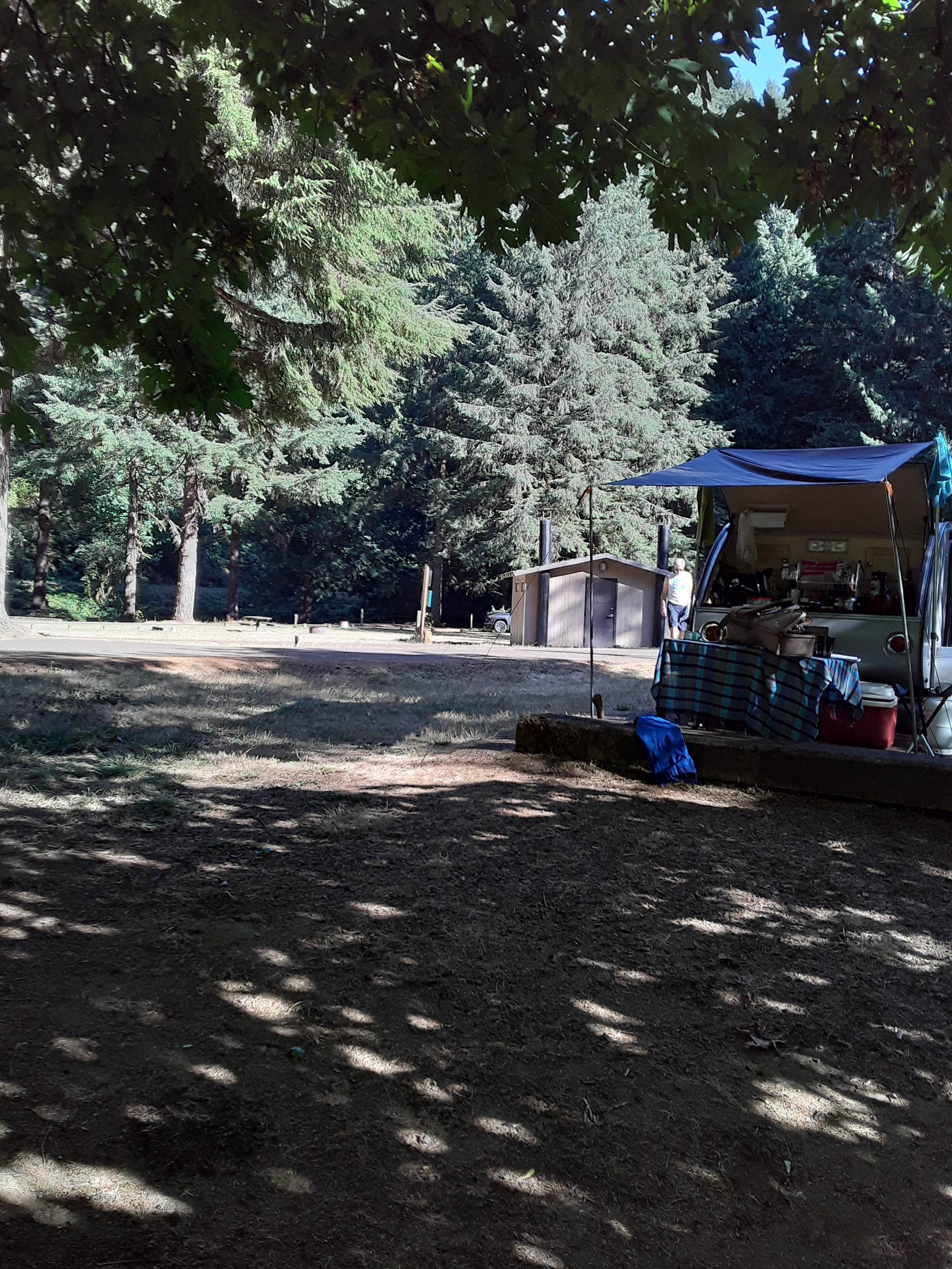 MeLinda W.'s photo at Blackberry in Oregon