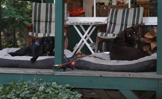 Darin D.'s photo of camping with pets at Ripple Creek Cabins near Klamath National Forest