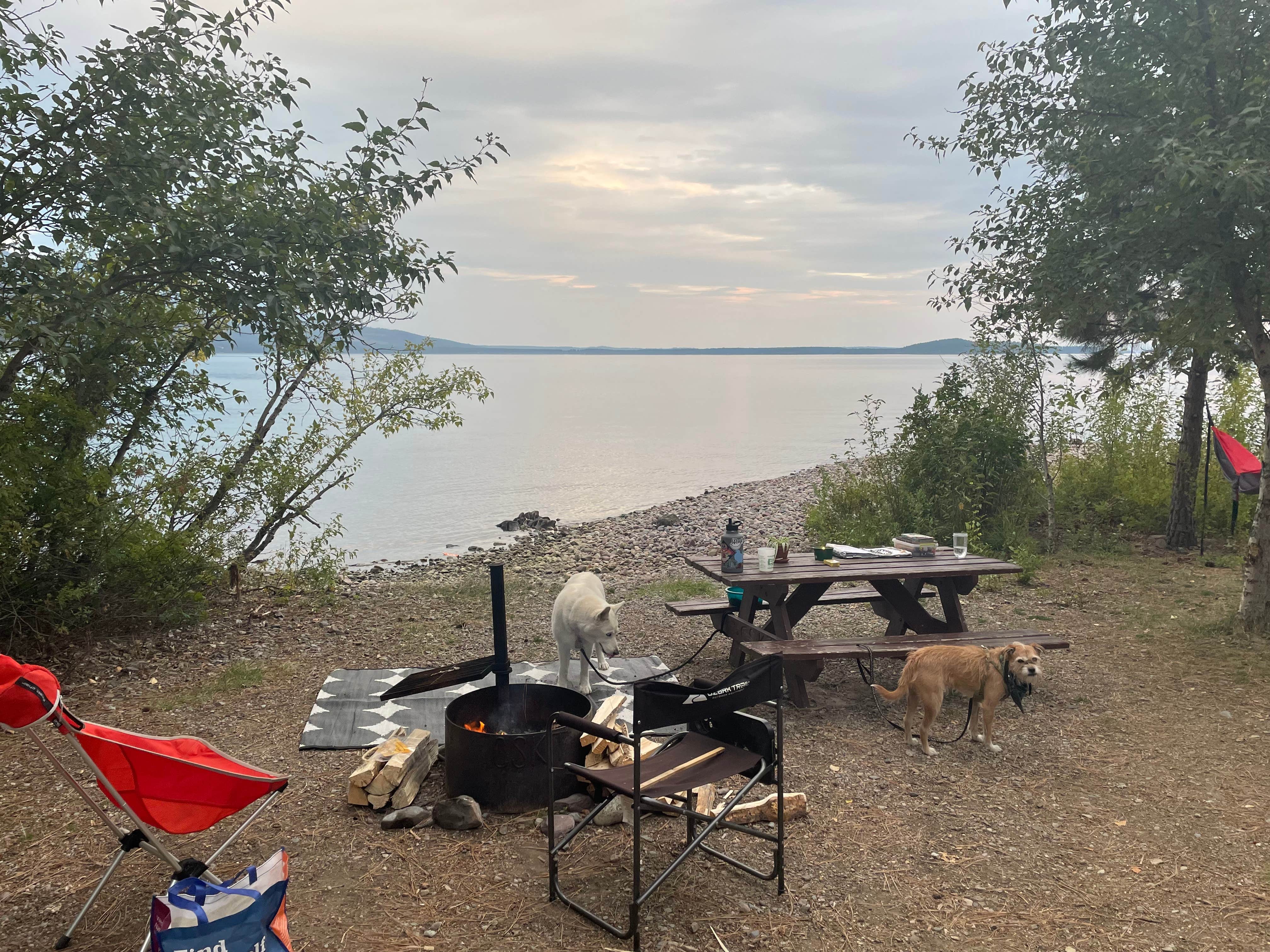 Morgan O.'s photo at Blue Bay Campground in Montana