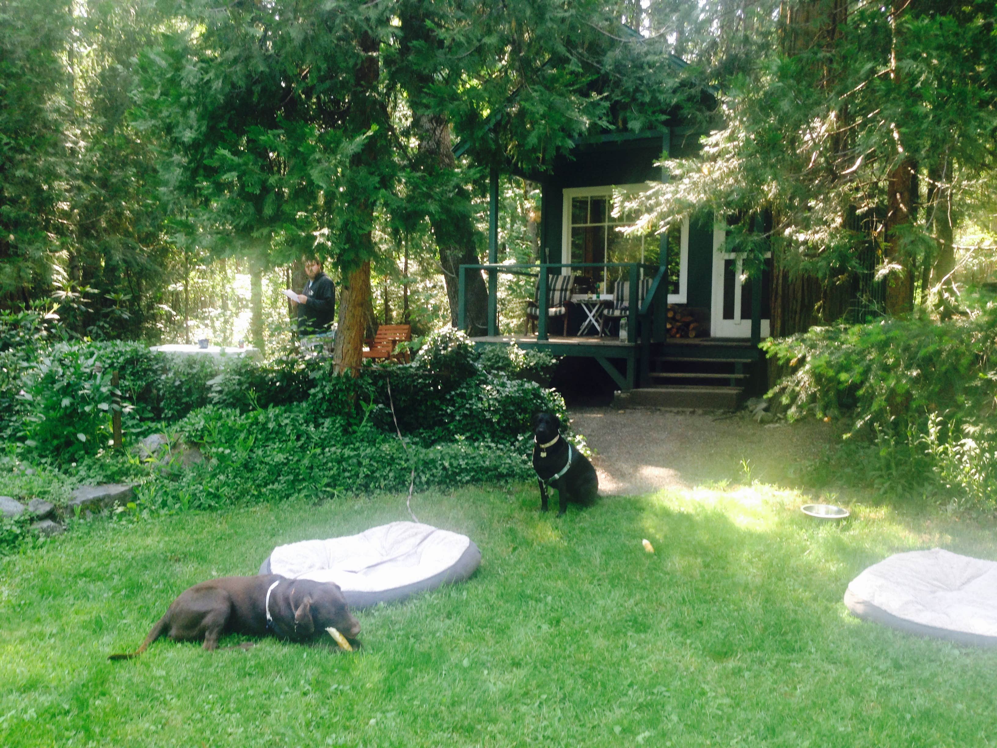 Camper-submitted photo at Ripple Creek Cabins near Callahan, CA