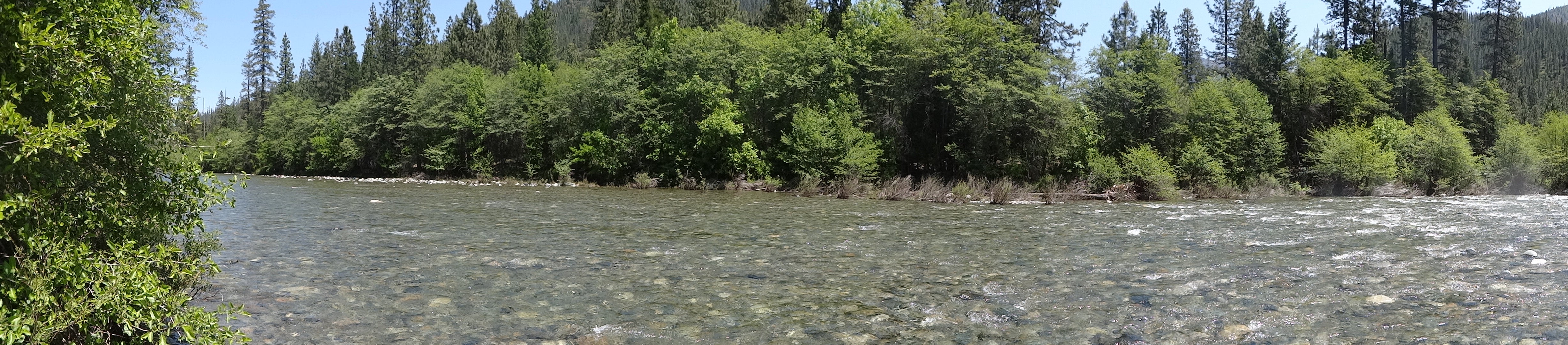 Panorama of the Trinity River near the cabin