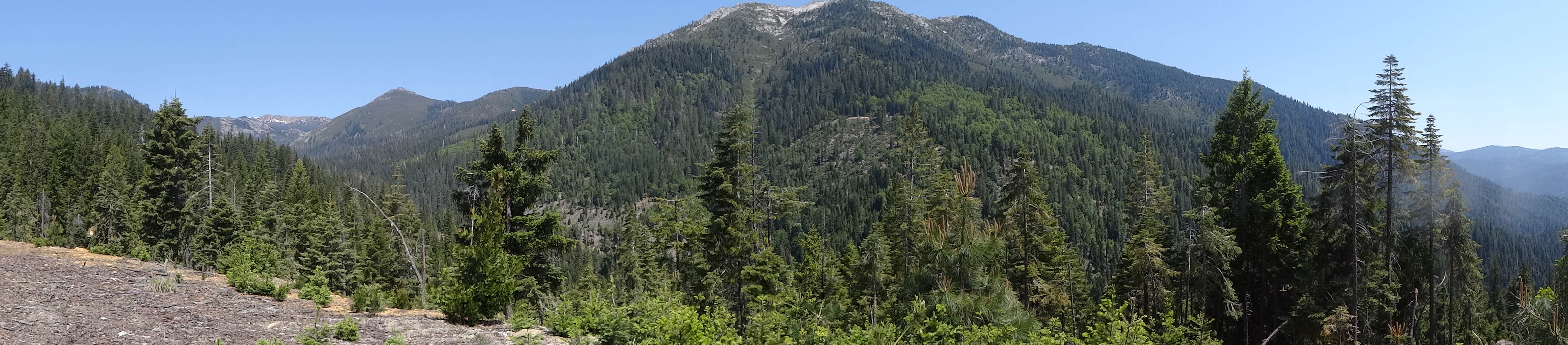 Camper-submitted photo at Ripple Creek Cabins near Callahan, CA