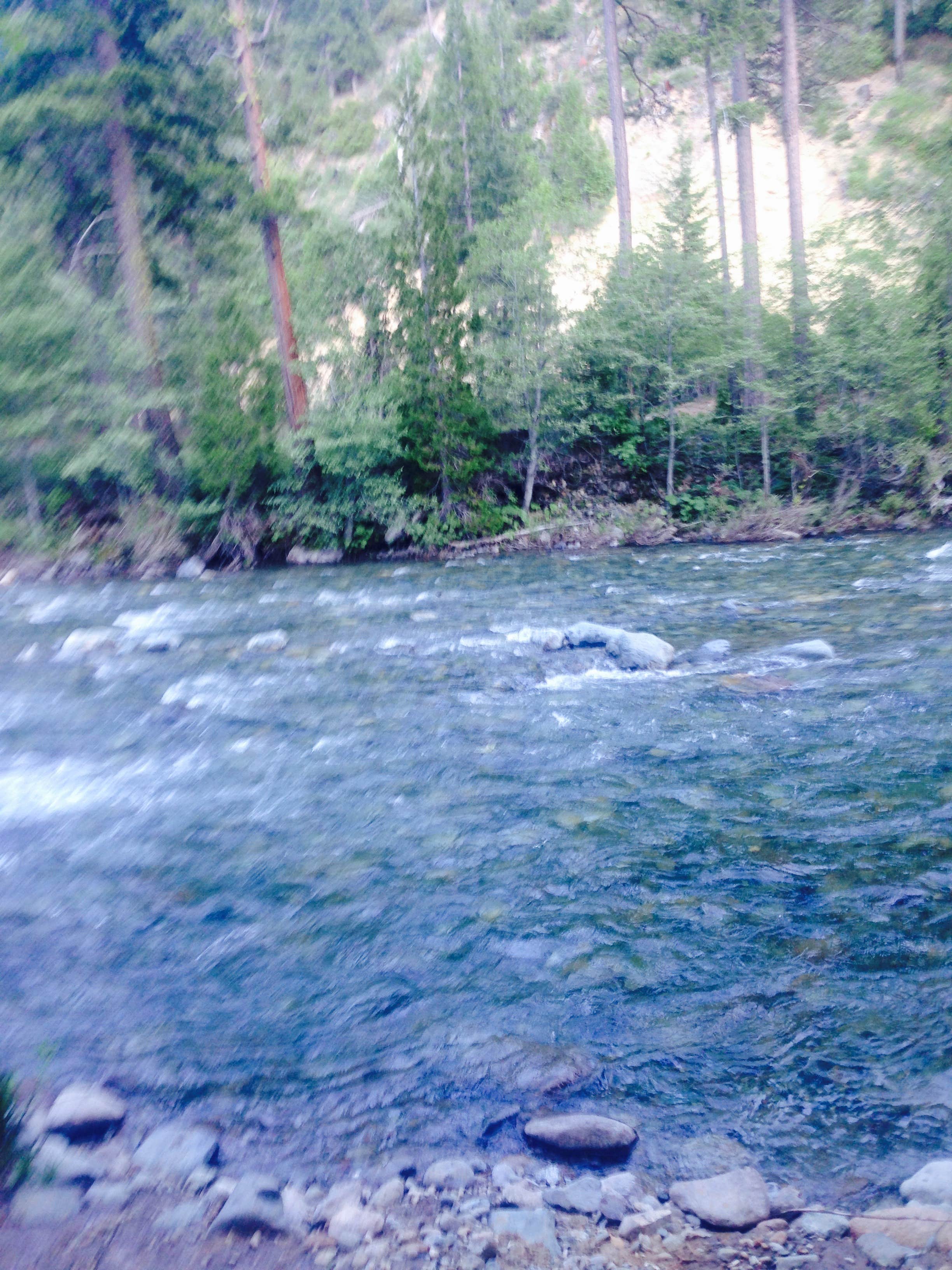 Camper-submitted photo at Ripple Creek Cabins near Callahan, CA