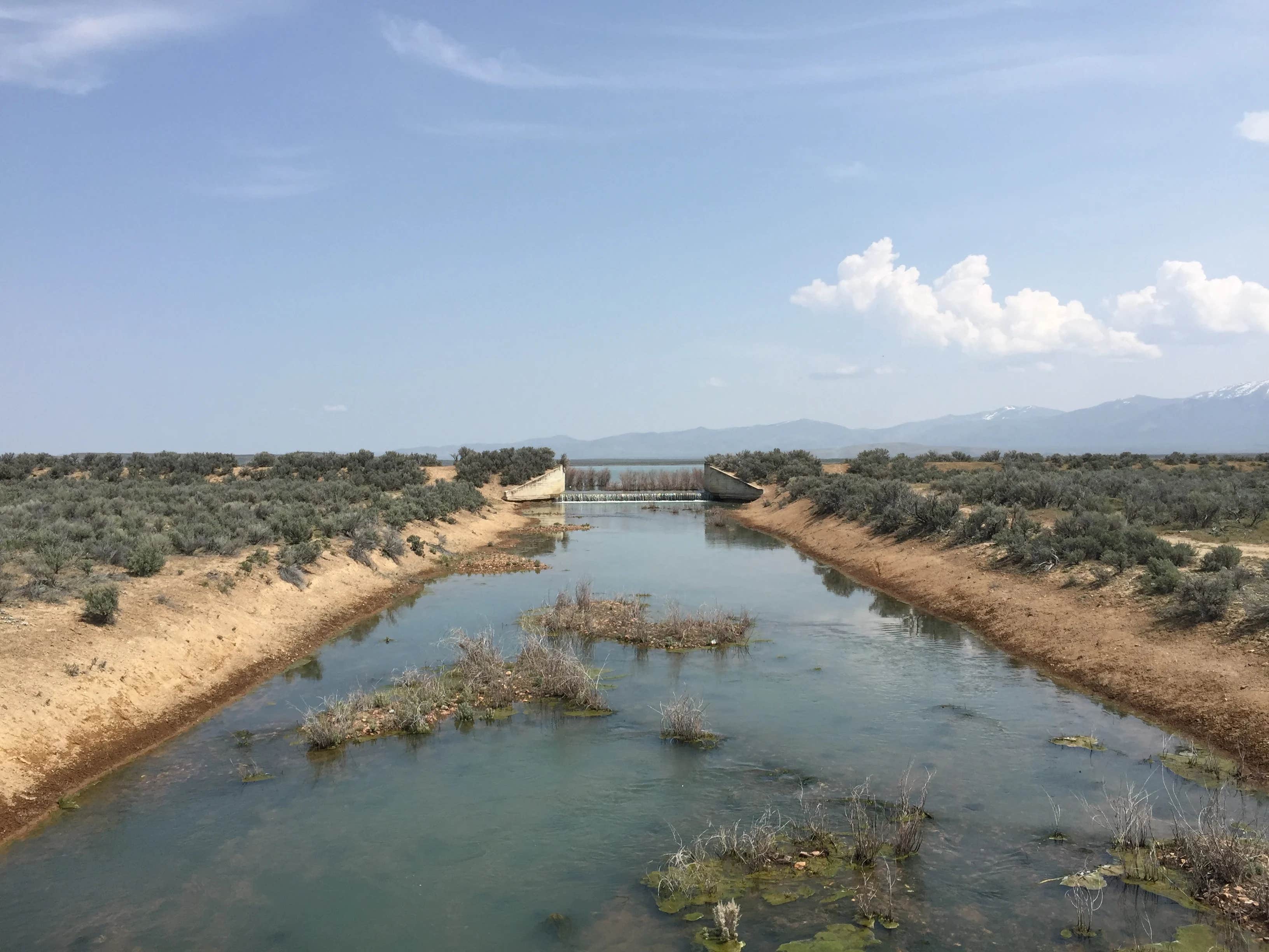 Camper-submitted photo at Wilson Reservoir near Owyhee, NV