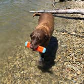 Review photo of Lopez Lake Recreation Area by Jeremy F., June 29, 2018