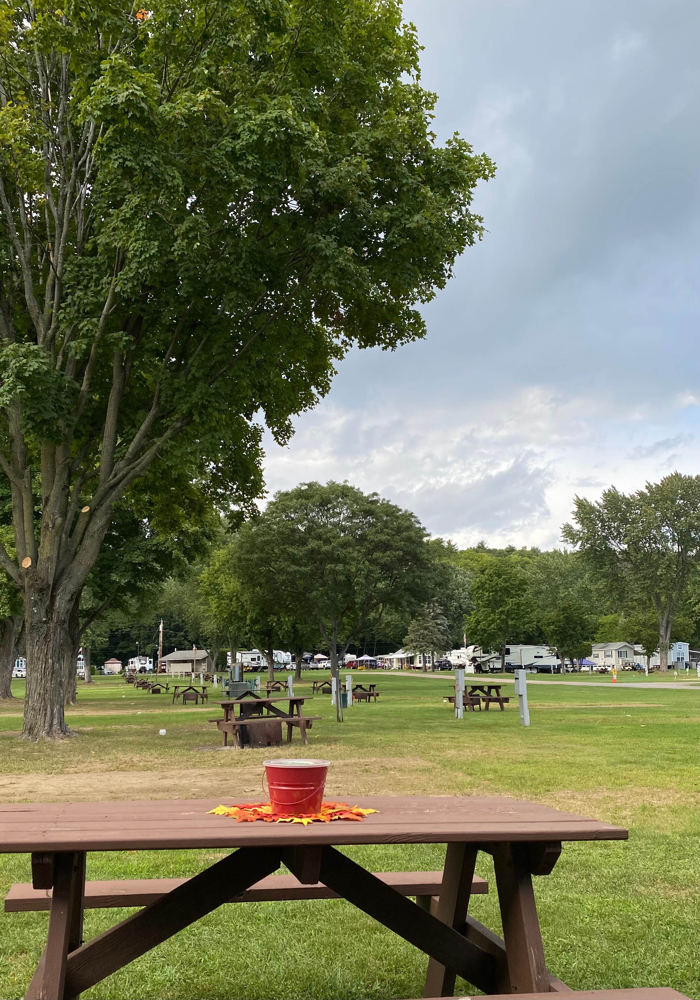Camper-submitted photo at Lone Pine Campsites near Stowe, VT