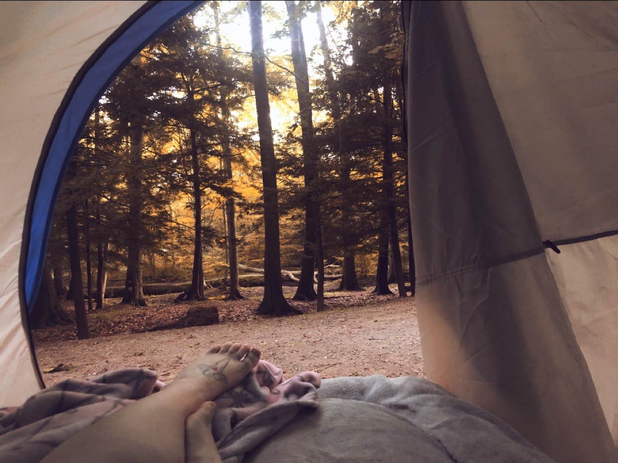 Red's photo at Hoffmaster State Park Campground near Muskegon, MI