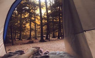 Red's photo at Hoffmaster State Park Campground near West Olive, MI