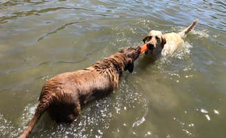 Jeremy F.'s photo of camping with pets at Lopez Lake Recreation Area near Santa Maria, CA