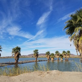 One of the Oasis at Mittry Lake