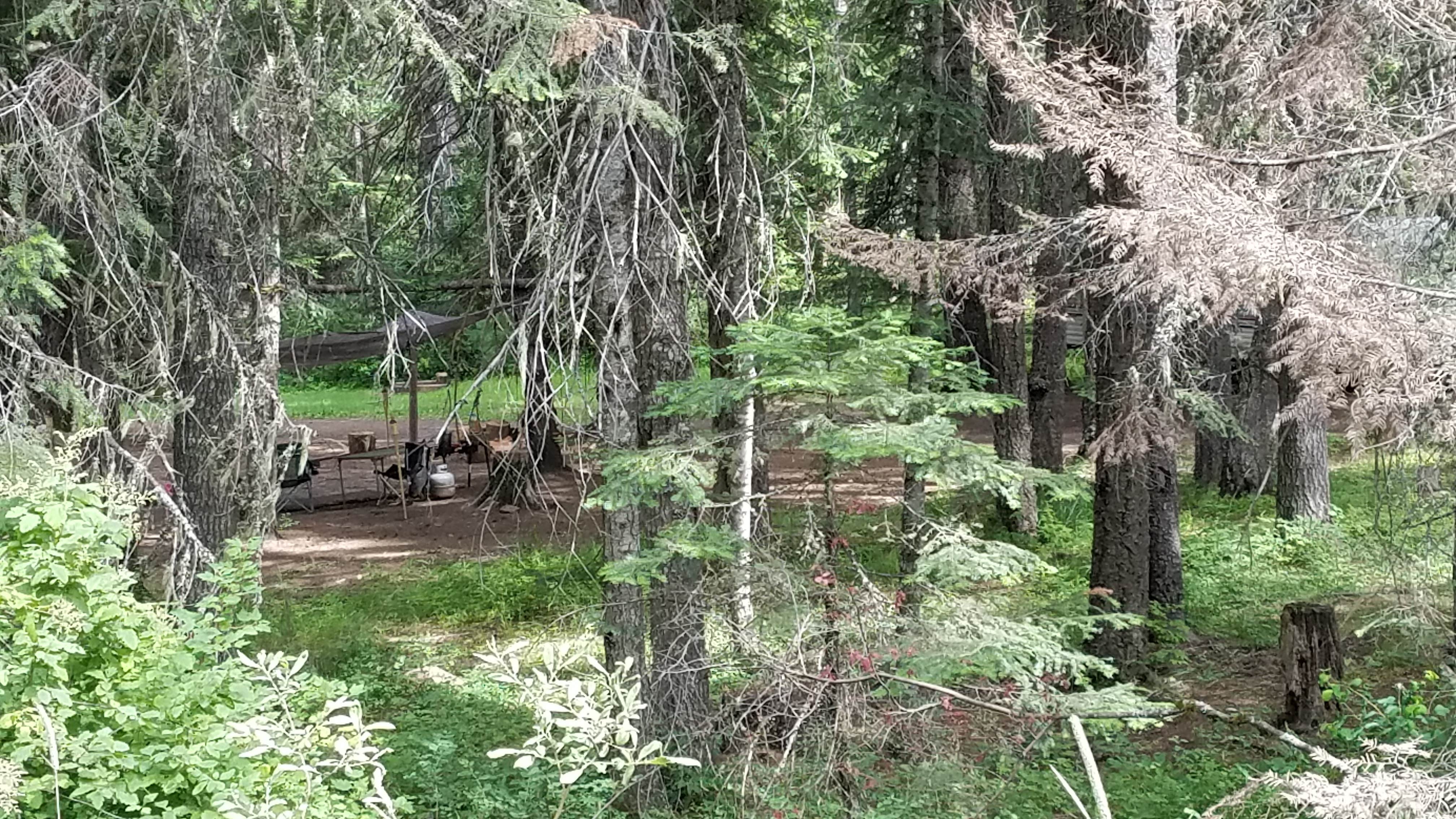 Camping near Campbells Pond Access Area: Porters Camp, Nez Perce-Clearwater National Forests, Idaho