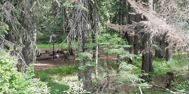 Camper submitted image from Porters Camp