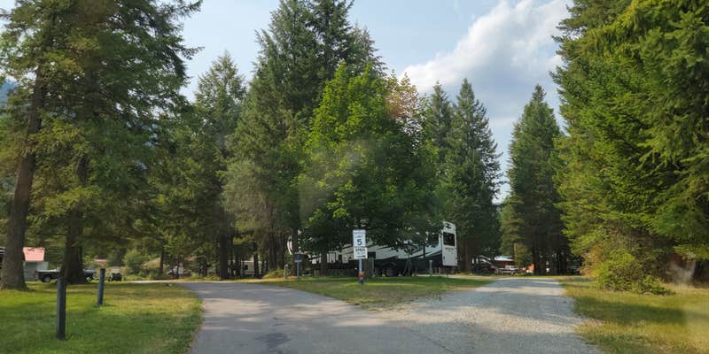 Camper submitted image from Birdland Bay RV Resort