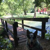 Review photo of Alley Spring Campground — Ozark National Scenic Riverway by Shelly S., July 21, 2016
