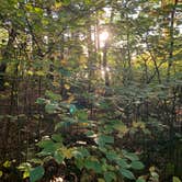 Review photo of Side Lake Campground — McCarthy Beach State Park by Lindsay N., September 18, 2021