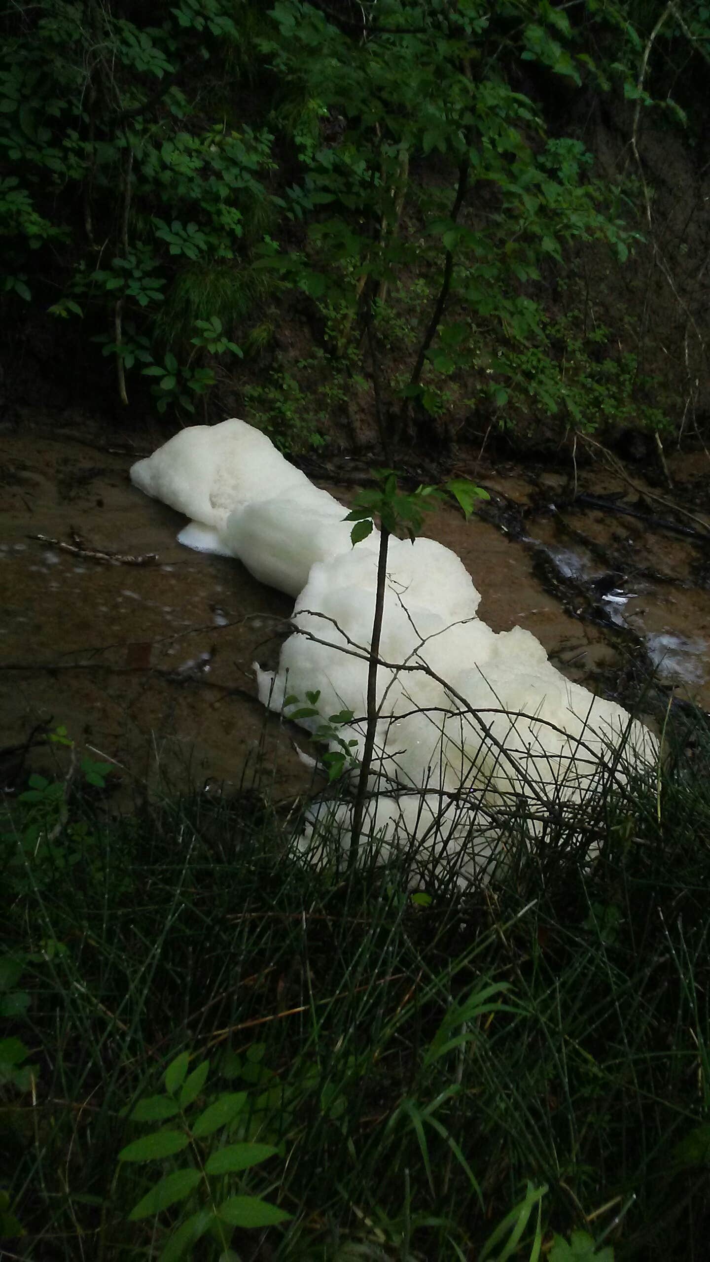 Camper-submitted photo at Modern Campground — Niobrara State Park near Geddes, SD
