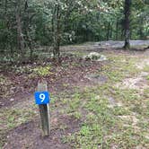 Review photo of DeSoto State Park Campground by Kelly G., September 18, 2021