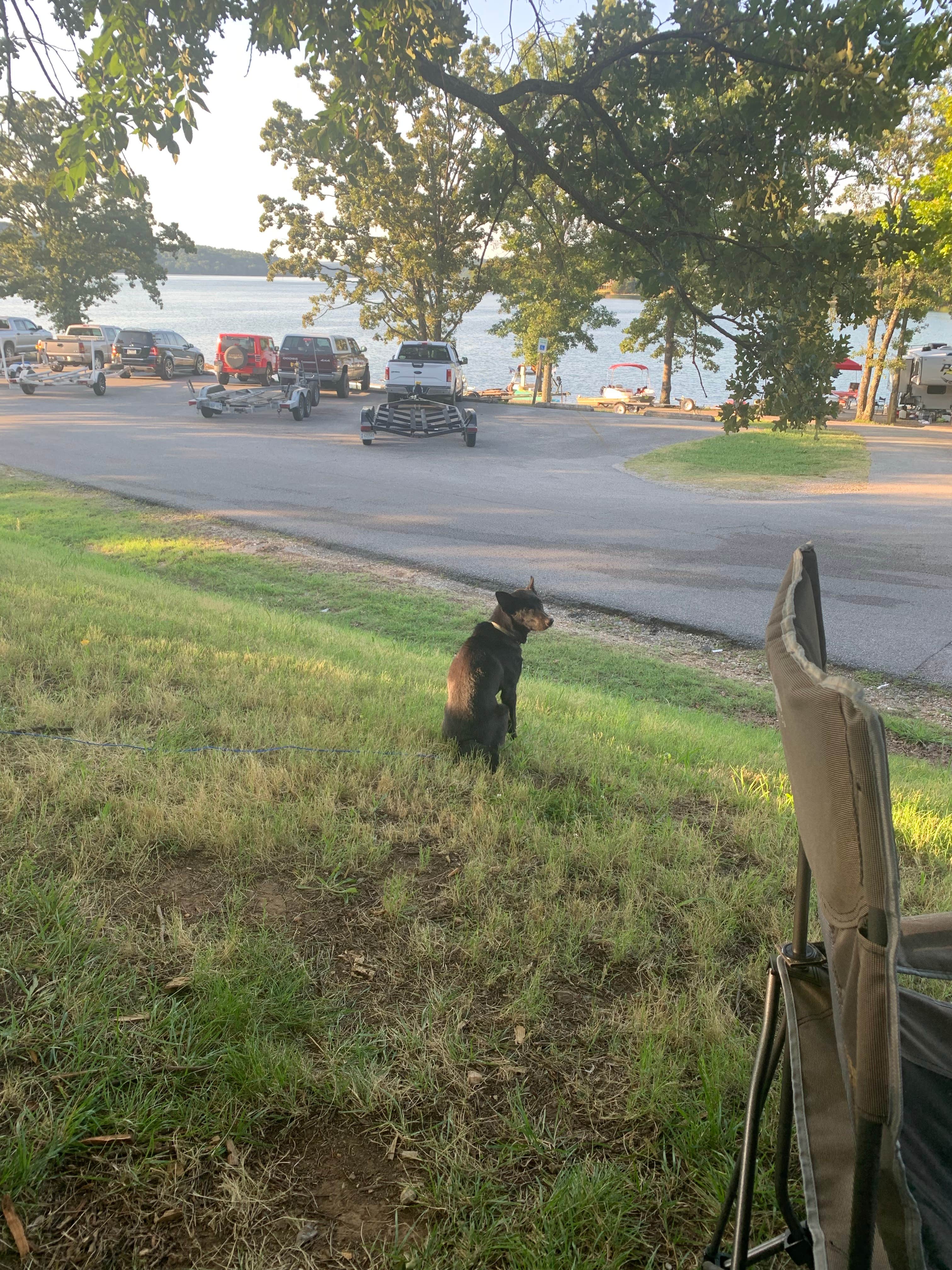 Erin H.'s photo of camping with pets at Lost Bridge South near Cave Springs, AR