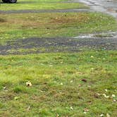 Review photo of Wallicut River RV Resort & Campground by Harold C., September 18, 2021