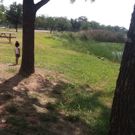 My niece chasing ducks. Wanting to pet them. Lol