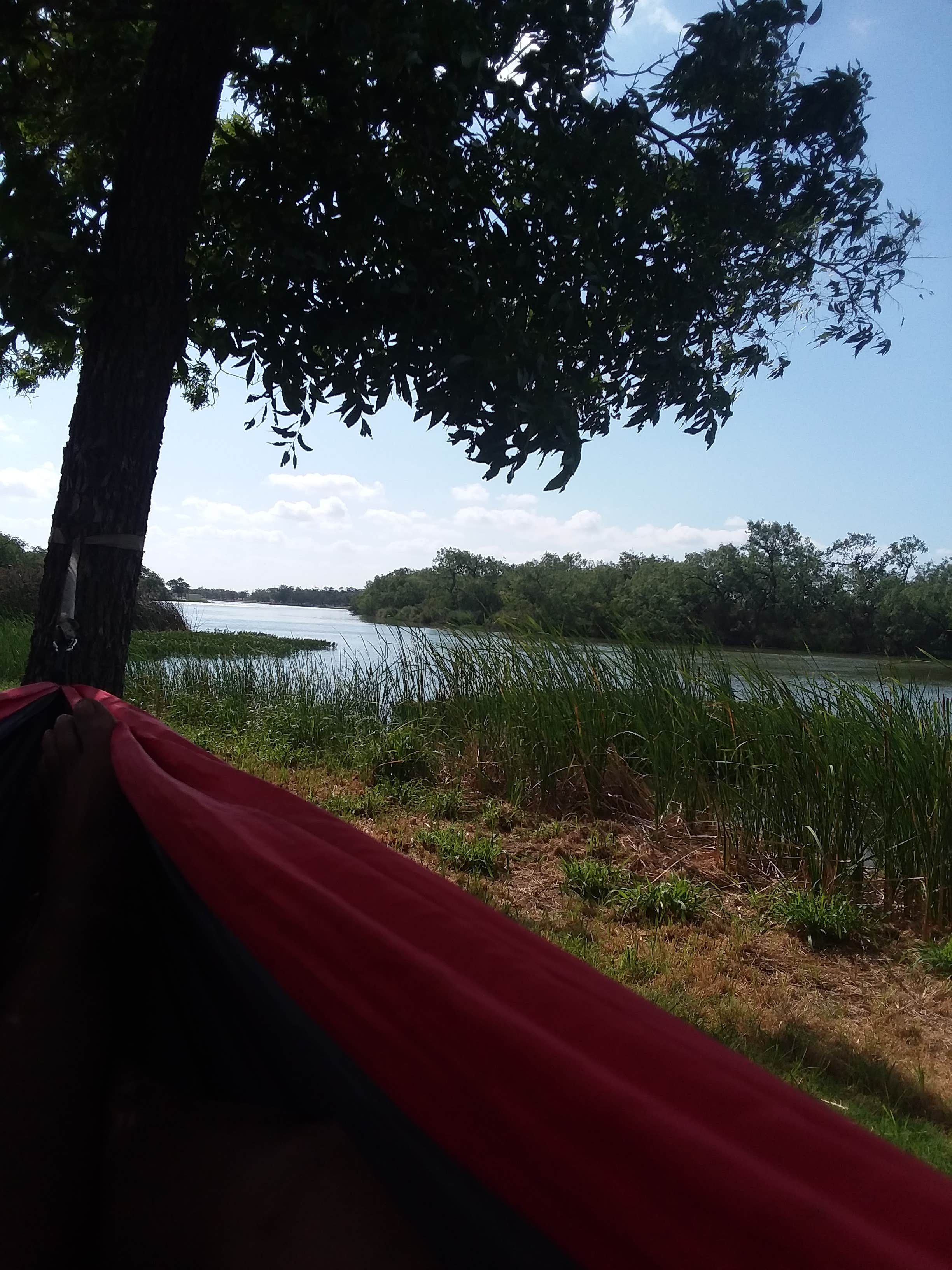 My view from said hammock. Just love it. 