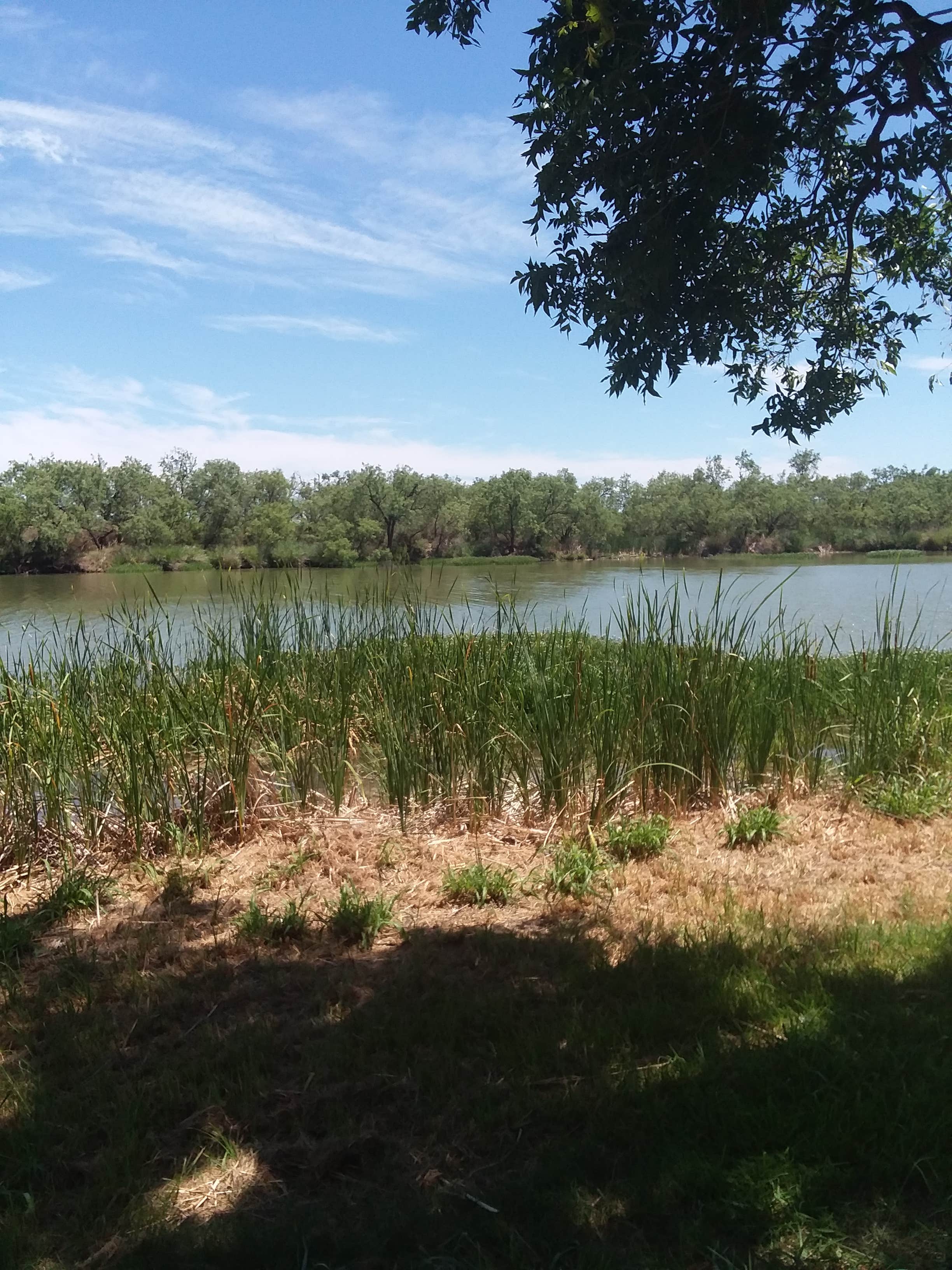 Camper submitted image from Middle Concho Park - 2