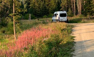 Tree V.'s photo of rv camping at Jumping Creek Campground near Martinsdale, MT