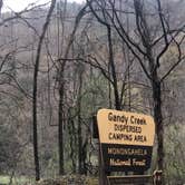 Review photo of Gandy Creek Dispersed Camping by Brittany B., September 18, 2021