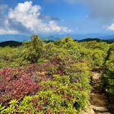 Review photo of Mt Pisgah Campground — Blue Ridge Parkway by Kelly G., September 18, 2021