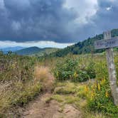 Review photo of Mt Pisgah Campground — Blue Ridge Parkway by Kelly G., September 18, 2021