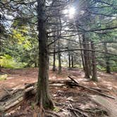 Review photo of Mt Pisgah Campground — Blue Ridge Parkway by Kelly G., September 18, 2021