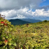 Review photo of Mt Pisgah Campground — Blue Ridge Parkway by Kelly G., September 18, 2021