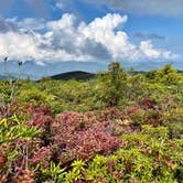 Review photo of Mt Pisgah Campground — Blue Ridge Parkway by Kelly G., September 18, 2021