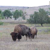 Review photo of Sage Creek Campground by Kimberly S., September 19, 2021