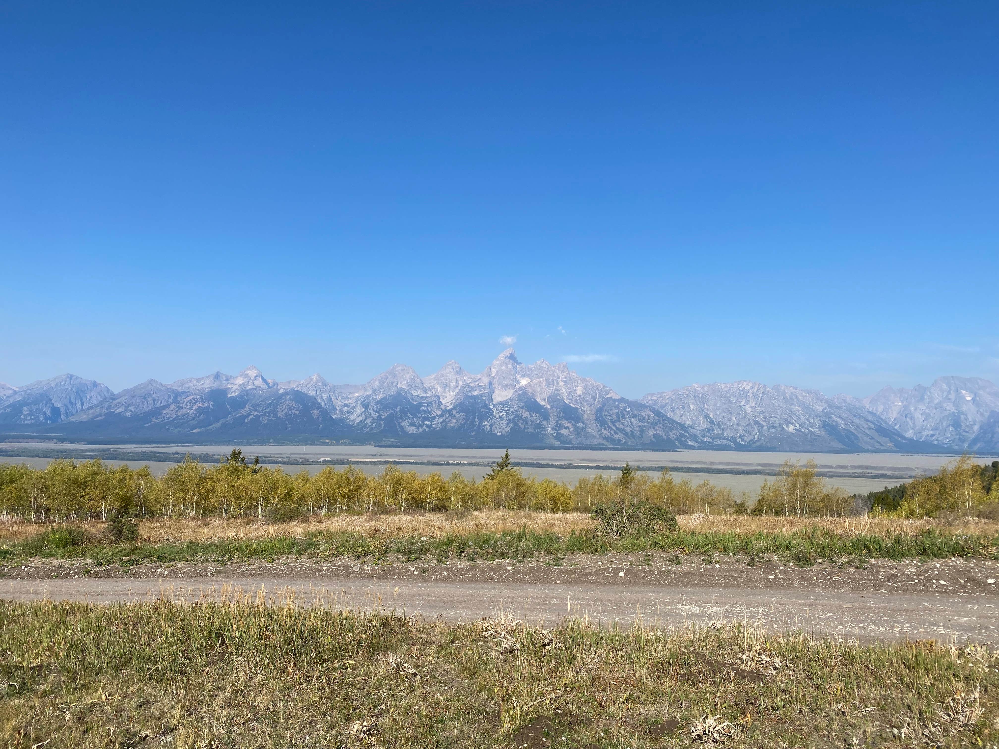 Camper submitted image from Shadow Mountain - Dispersed Campsite #10 - 3