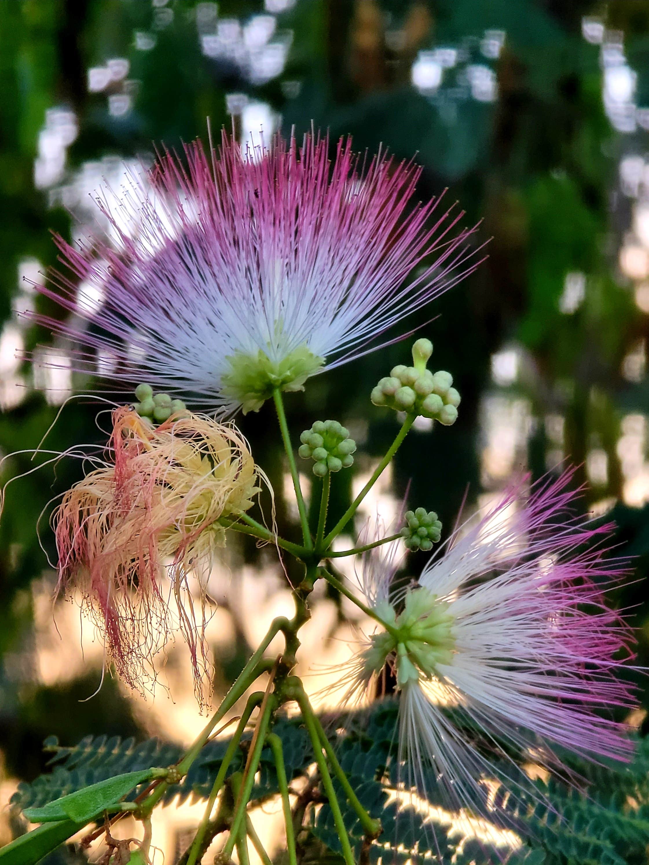 Camper-submitted photo at Two Rivers Campground near Warsaw, KY