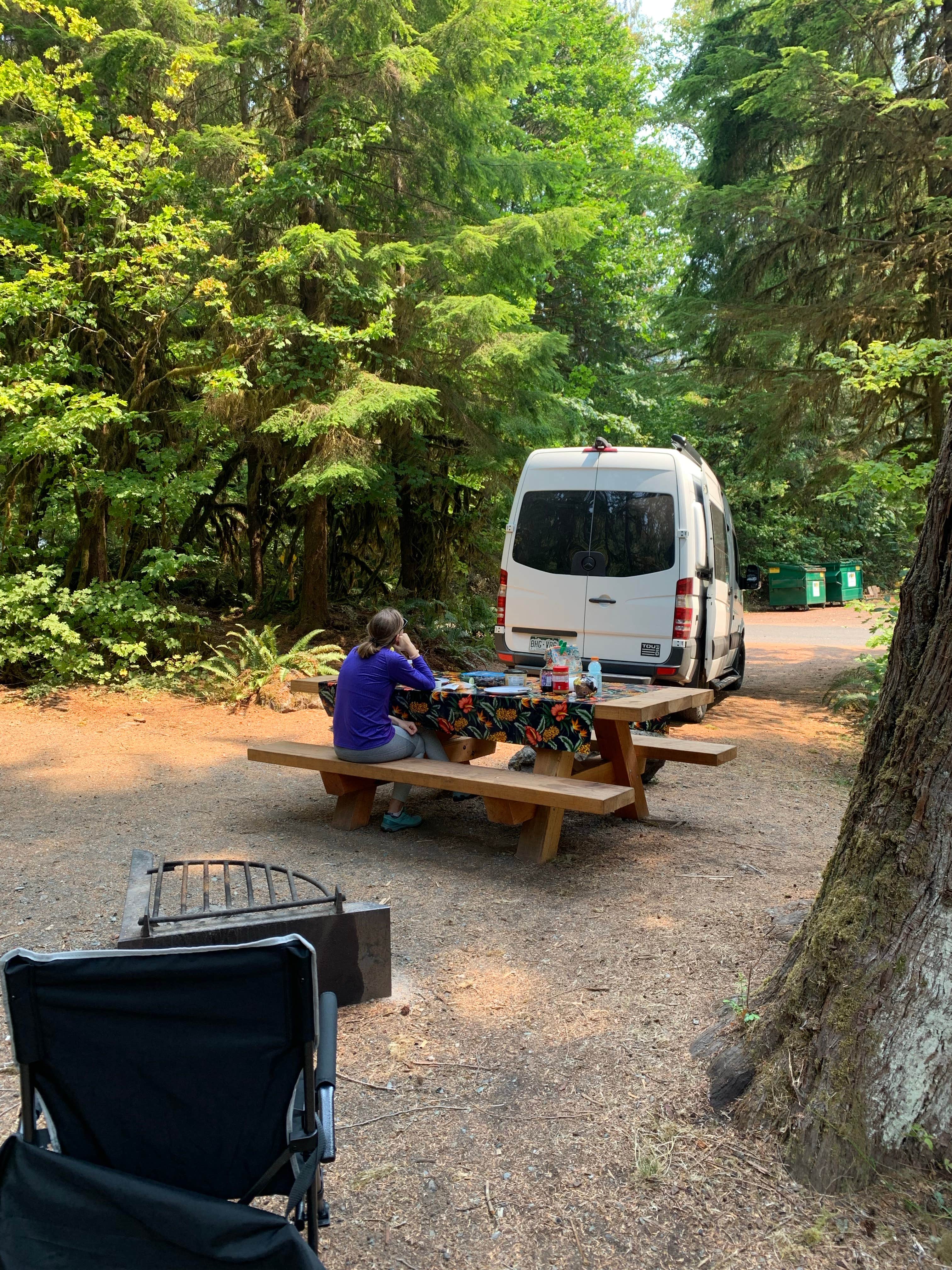 Tree V.'s photo of rv camping at Shannon Creek Campground near Marblemount, WA