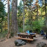 Review photo of Shannon Creek Campground by Tree V., September 19, 2021