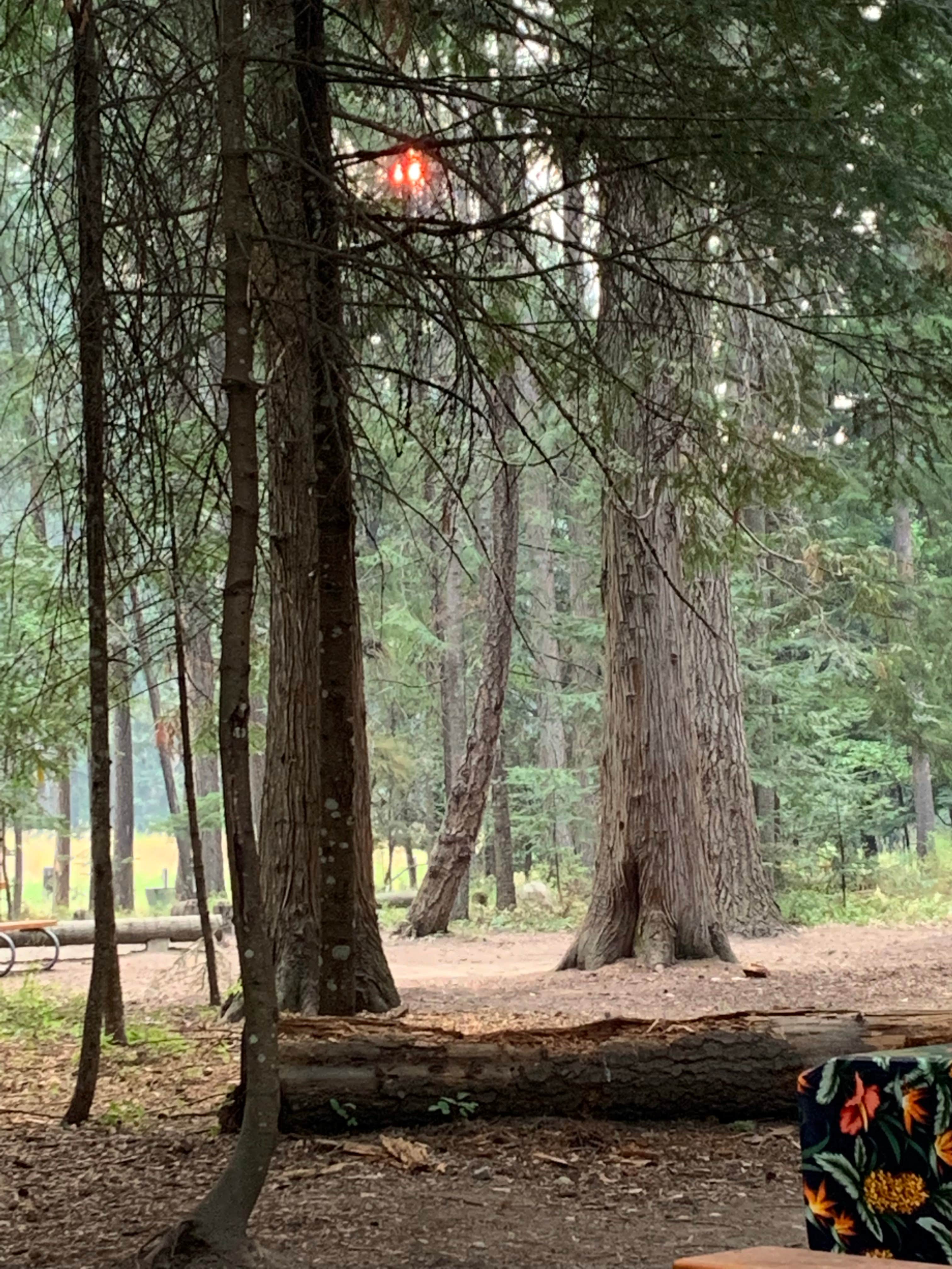 Camping near Maiden Rock Campground: Round Lake State Park Campground, Cocolalla, Idaho